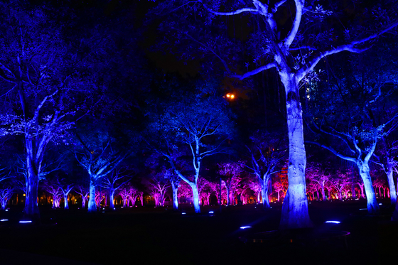 DMX512 RGBW 36W شجرة LED ضوء فيضان مصباح الحديقة LED لعرض المناظر الطبيعية