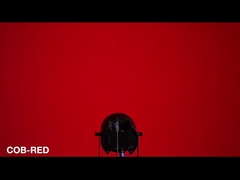 RGBW COB الاسمية يمكن