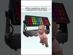 لذا سألت أمي إذا كان بإمكاني شراء مصباح