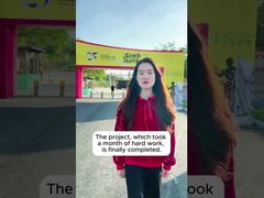 حالة مشروع شوند بروس لي