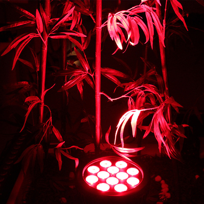 Dmx يغسل 4 في 1 الاسمية 12x10w LED الاسمية يمكن أن أضواء المسرح الزفاف 120w Rgbw IP65 أدى ضوء