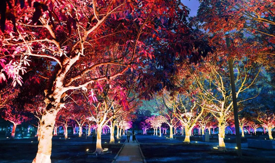 36w الألوان الخارجية Rgb LED شجرة الحديقة ضوء الفيضانات لعرض المناظر الطبيعية