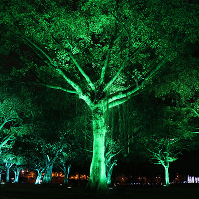 IP65 6W ألومنيوم في الهواء الطلق المقاوم للماء Led Spike Tree Flood Light تعديل الضوء الضوء الحديقة المشهد الإضاءة