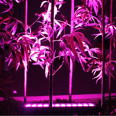 12X3W غسالة الحائط الخارجي LED IP65 مقاوم للماء DMX RGB LED خطي غسالة الضوء